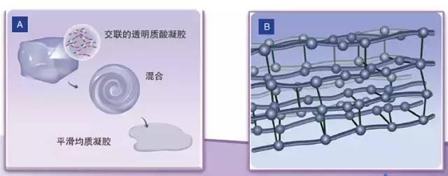 神秘大咖2019第一诊，刷新你的颜值新高度