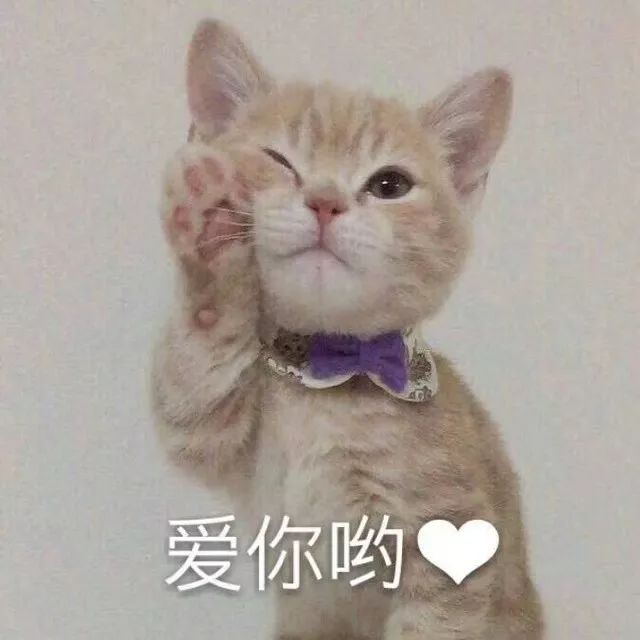 波叔凉凉，《情圣2》撤档，里面可有号称全亚洲较美整形模板啊！