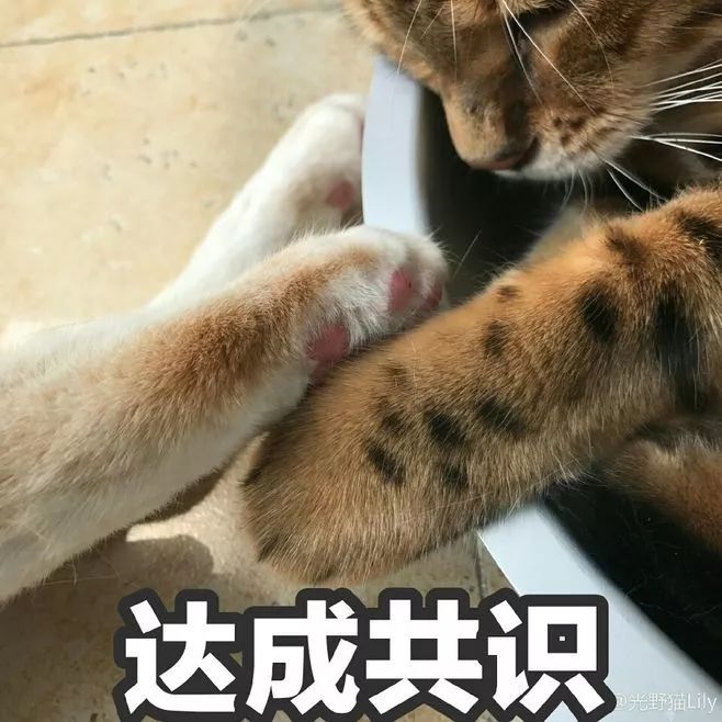 波叔凉凉，《情圣2》撤档，里面可有号称全亚洲较美整形模板啊！