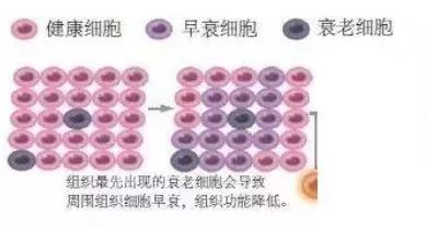 春节较后7天丨@所有人，请查收一份变美攻略！