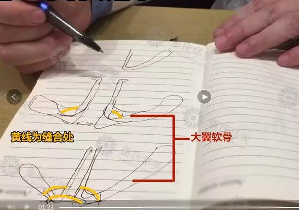“日本医美界高级医生”推崇的隆鼻术？美姐家早就有了！ 