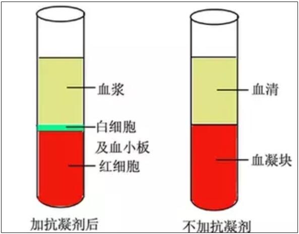 大玉儿范爷用便秘药护肤，之后... 