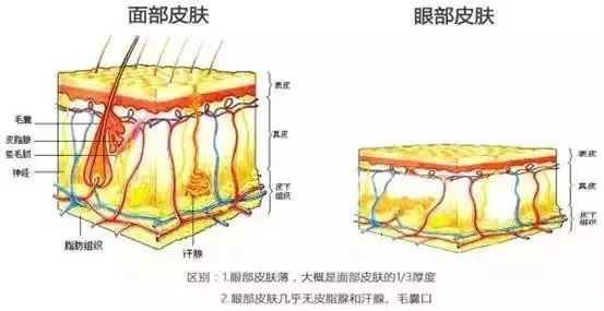 素颜被全网diss后，林允一气之下去医院整形！