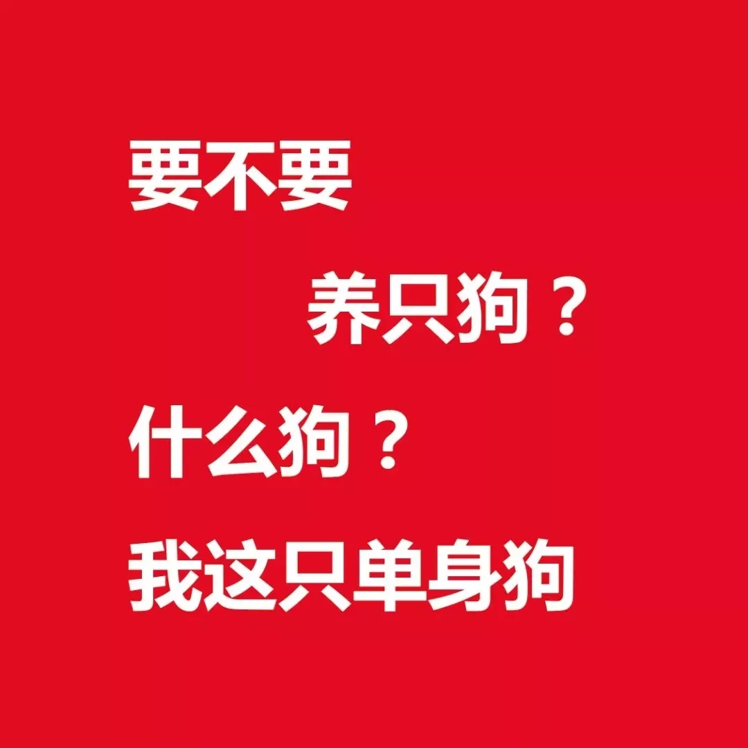 情人节限定丨你心所爱，便是我心欢喜~
