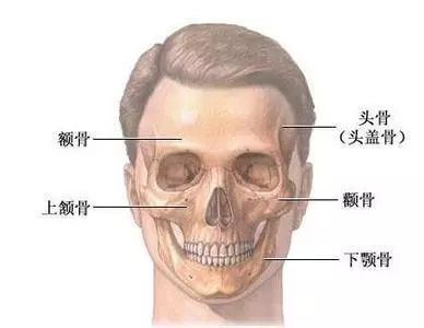 皇后脸蔡少芬戏路变窄，颧骨高如何改良？
