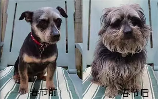 【节后为啥不想照镜子，是什么让你过个节就变丑了？】
