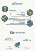 受伤后还在用酒精消毒？正确急救常识看这里！ width=