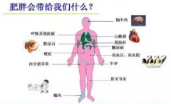 你造吗？吃饭也能减肥哦：） width=