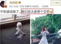 赵丽颖整容前后照片曝光，请扶好你的眼镜！ width=