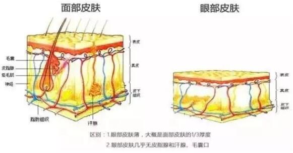 上睑下垂怎么矫正好？华美紫馨急速纳米美眼技术灰常妙！