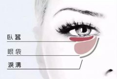 耿阿姨：卧蚕的多方位解析，让你彻底弄清卧蚕！ width=
