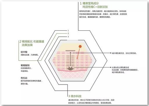 准确褪黑素是什么|来自西班牙，活动体验价仅需1000元~