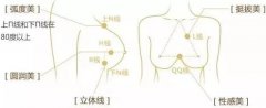 圣嘉新自体脂肪丰胸免费预约靠谱吗？为什么嫩受欢迎？ width=