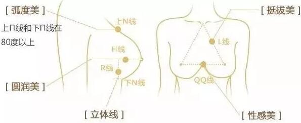圣嘉新自体脂肪丰胸免费预约靠谱吗？为什么嫩受欢迎？