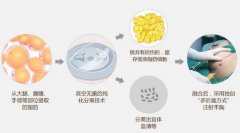 活细胞丰胸果如何?听说灰常不错呢~ width=