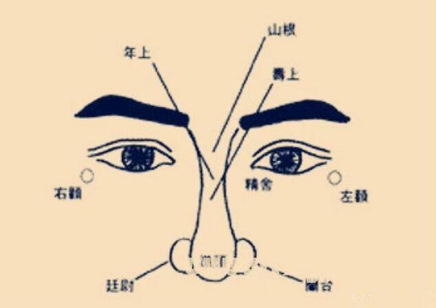 招财鼻好看吗?真能招财?