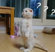 皮肤想要好，这一步很重要！ width=