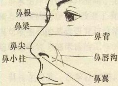 什么样的鼻子才叫360°无死角美鼻呢？ width=