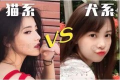 拥有Baby同款犬系脸，为什么还是不好看？ width=