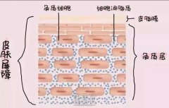 汗流浃背的夏日，爱美我们应该如何来呵护那娇嫩的肌肤呢？ width=