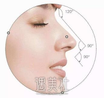 双美胶原蛋白隆鼻价格