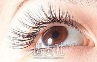 韩式翘睫毛可以保持多久?这个问题应该这样分析~