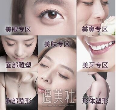 上海,鹏爱