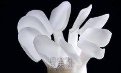 全瓷牙贴面能和正畸一起做吗?网路上是这样分析的~ width=