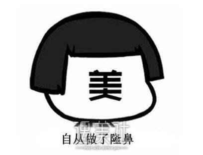 隆鼻根