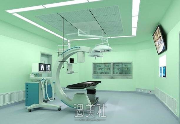 丽铂整形