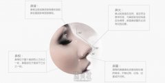 秦皇岛硅胶隆鼻大概多少钱?性价比高不高了? width=