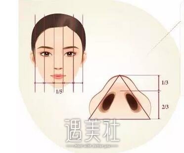 鼻孔大