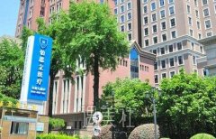 上海伯思立价目表2020年更新上线，呆萌的它值得你一看~ width=