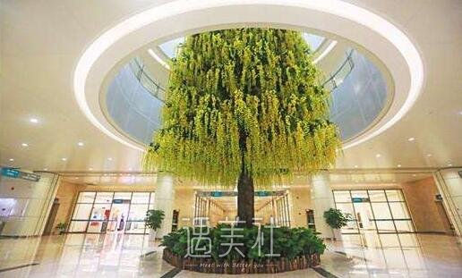 南方医科大学深圳医院整形科怎么样?火热项目及收费一览~