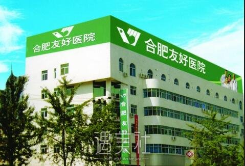 合肥,友好,安琪儿