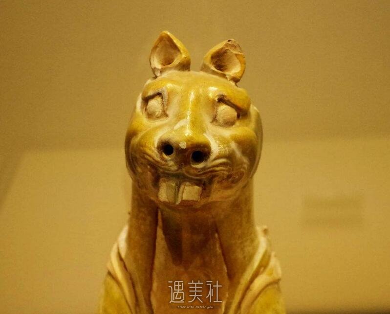 绵阳美容冠矫正龅牙多少钱，听说价格都很贵?