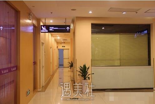 苏州常春藤和维多利亚哪个好?多方位对比剖析~