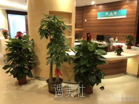 梧州市人民医院整形科怎么样?有木有2020年多方位价格表呢?