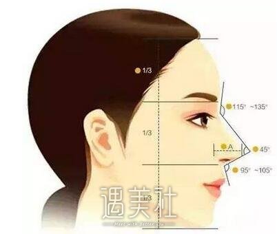 假体隆鼻价格