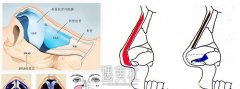 昆山百达丽整形医院价目表(价格表)崭新一览 width=