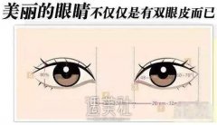 割双眼皮后悔了想变回单眼皮有没有好的修复方法？ width=