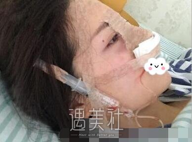 成都,军大,杨勇