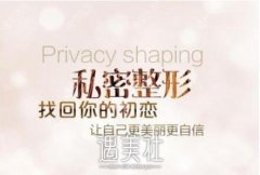 韩国好手艺和如妍哪家做私密整形手术比较好？有价格表吗？ width=
