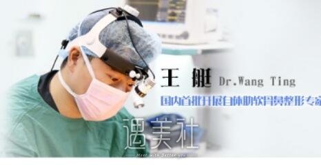 王艇,鼻修复