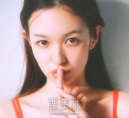 耳软骨垫鼻尖