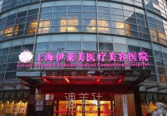上海伊莱美是三甲吗？ width=