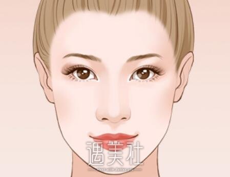 活细胞填充