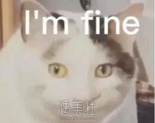 深夜医美局，约吗？ width=
