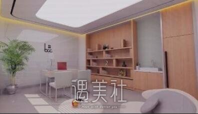 重庆,联合丽格