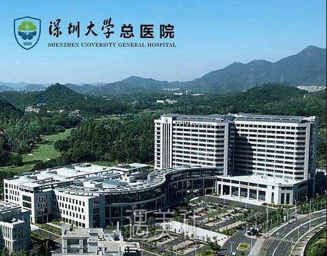 深圳大学总医院整形科